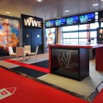 WWE-11